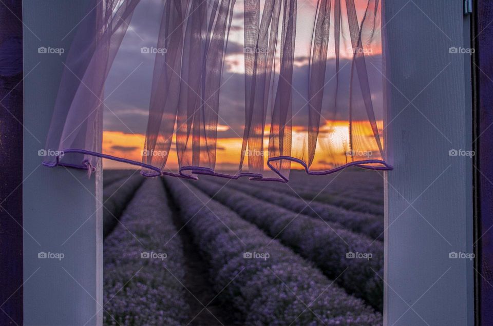 Lavender Sunset, Bulgaria, Chirpan