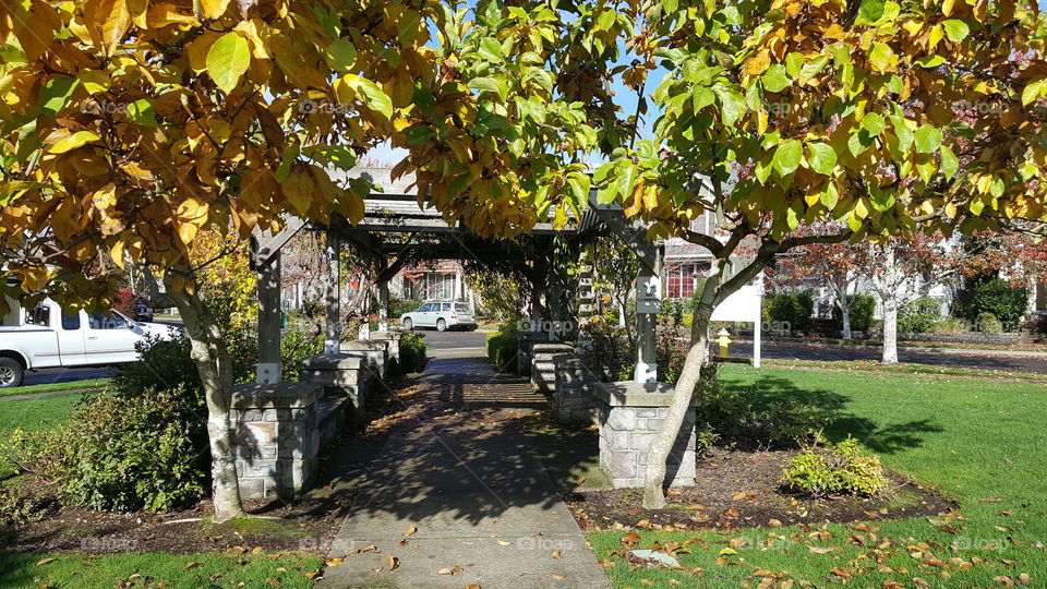 covered pathway