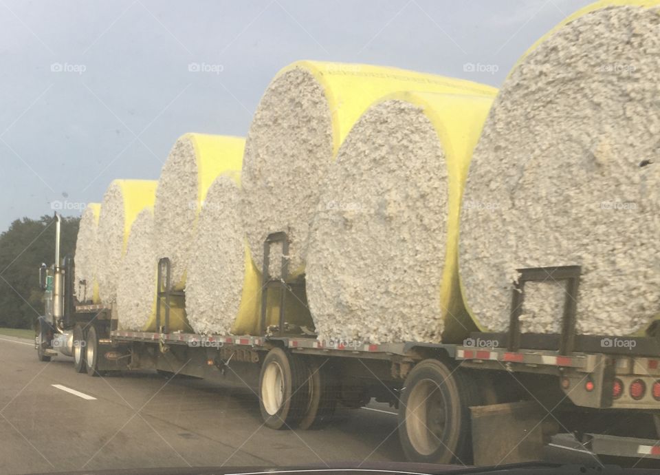 Cotton bales