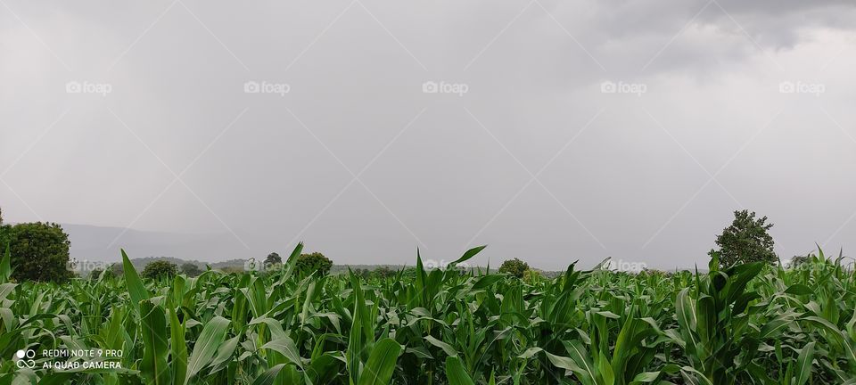Water is falling over the hills