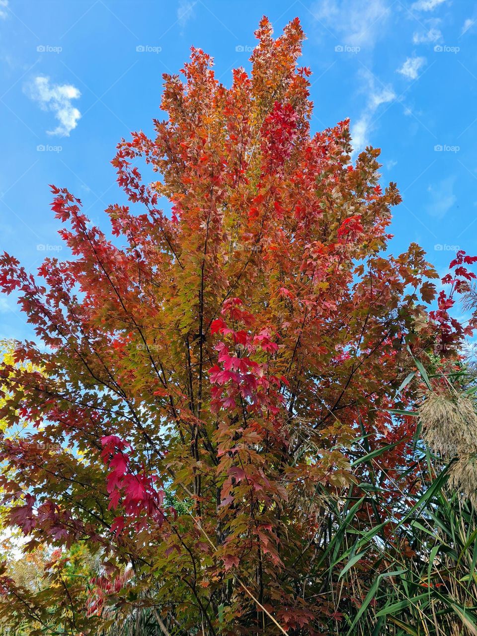 Autumn in Ontario