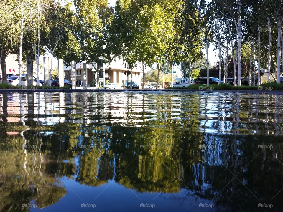 reflection