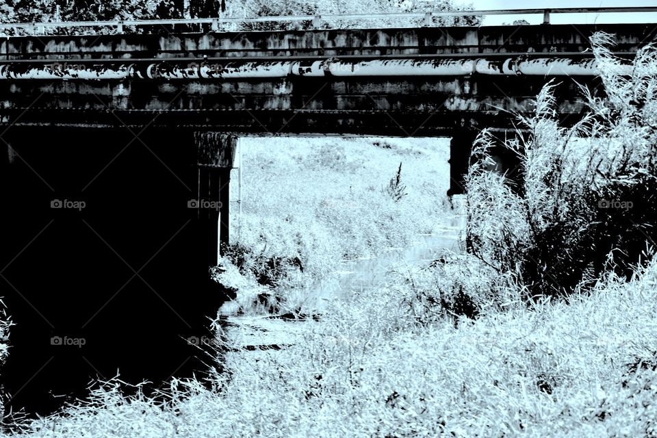 Bridge black and white