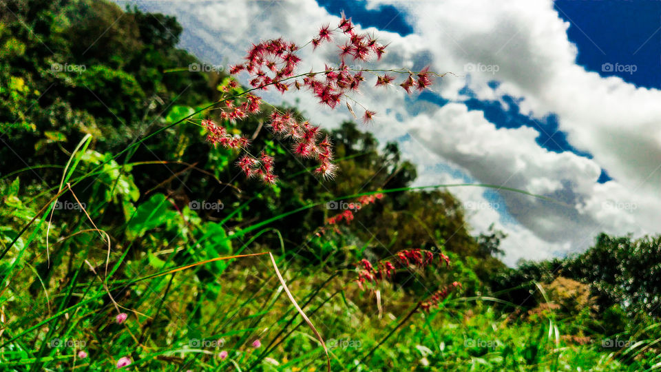 peaceful place on earth.