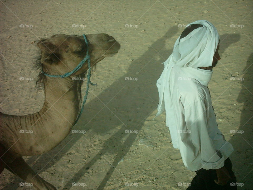 Camel And Guide