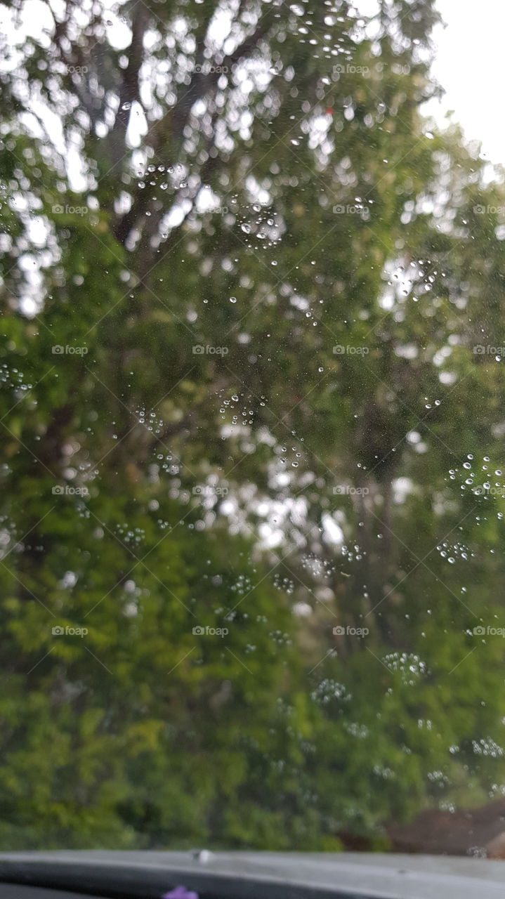 Raindrops on the windscreen