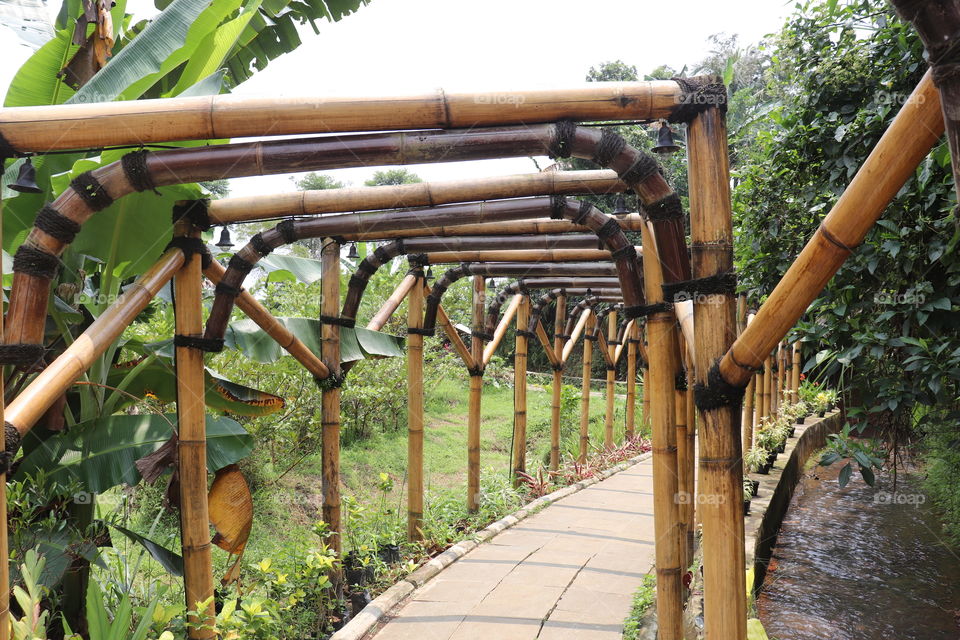 bamboo fence