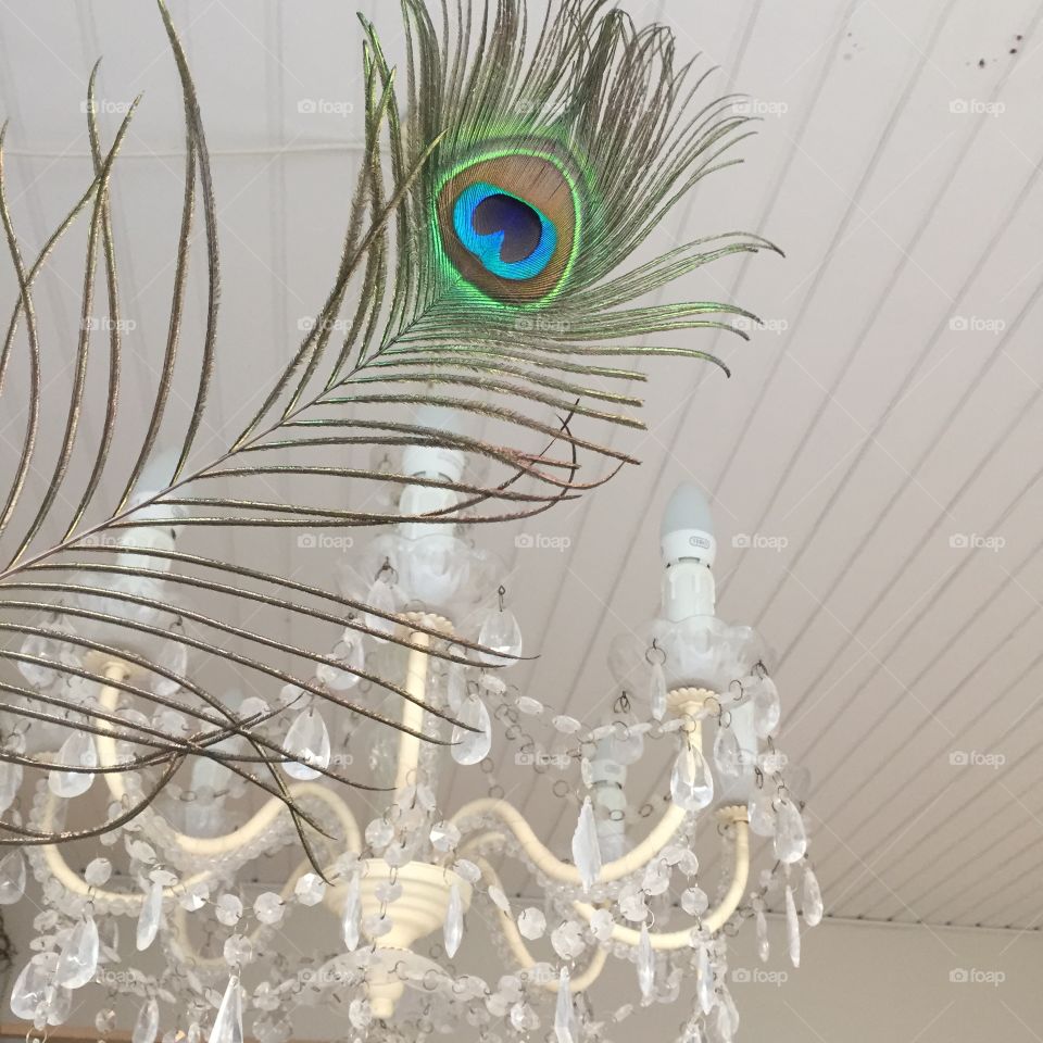 Feather and a chandelier