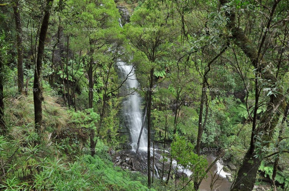 High angle view of waterfall in forest