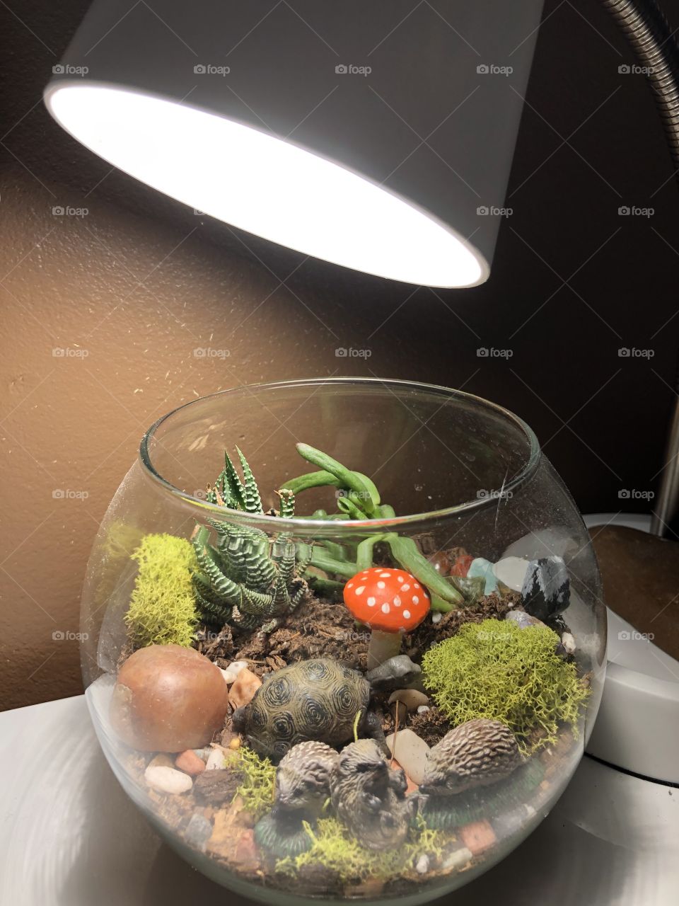 Child’s room terrarium