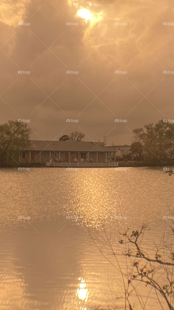 Well well looking here we have us a Cloudy overcast bright Evening in the sun today and It’s good to have them in direct sunlight. 