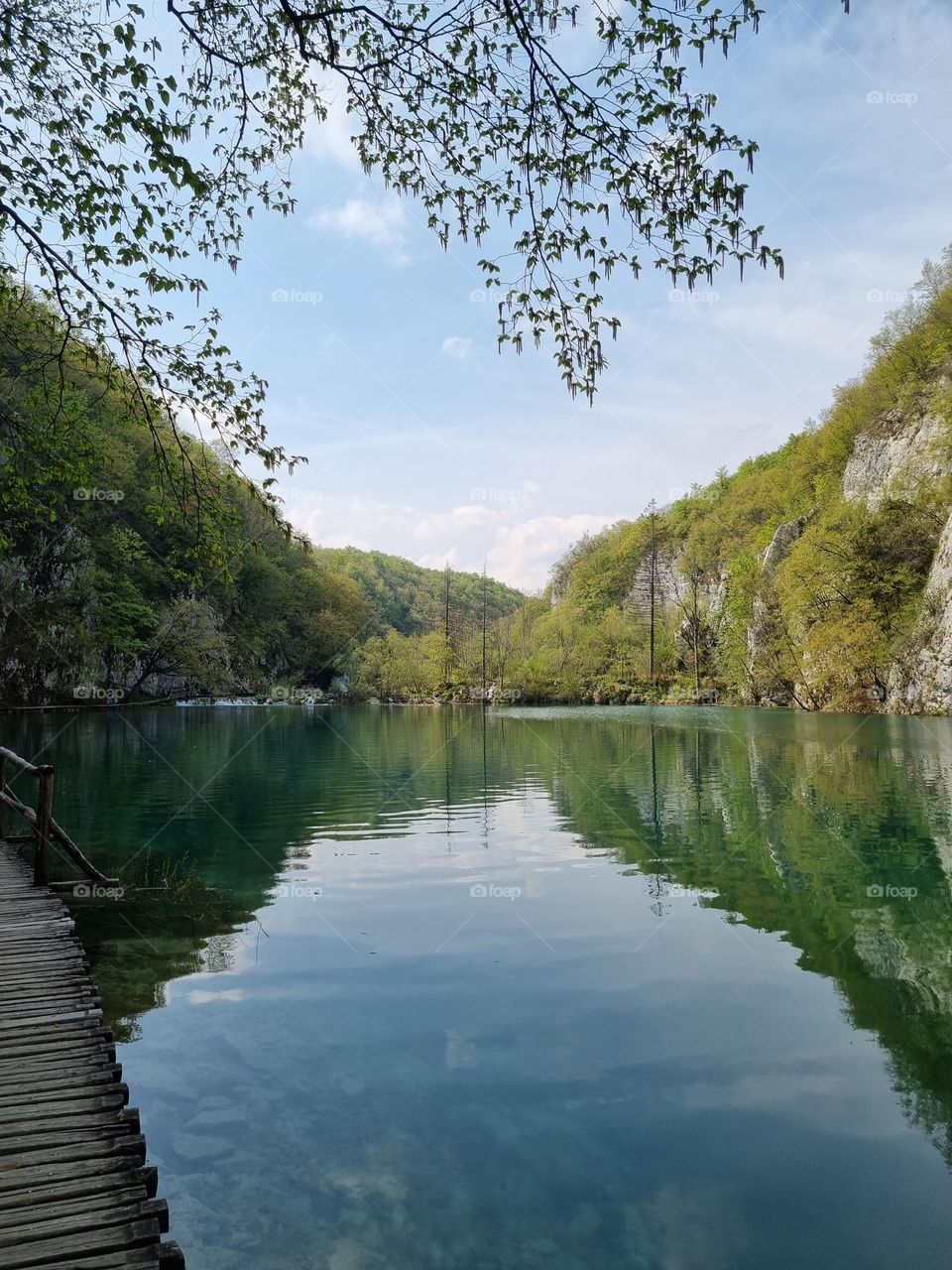 the shadow of the sky