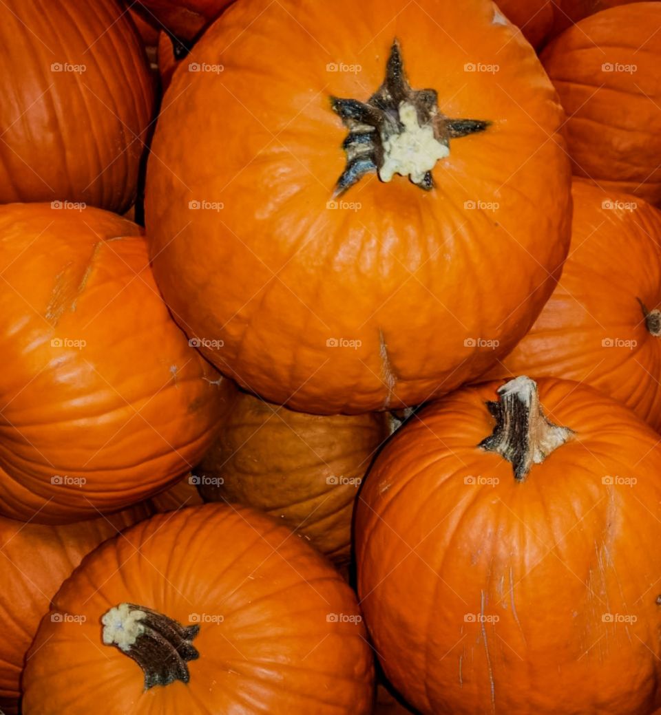 It's pumpkin season....time to make Jack O Lantern ☺