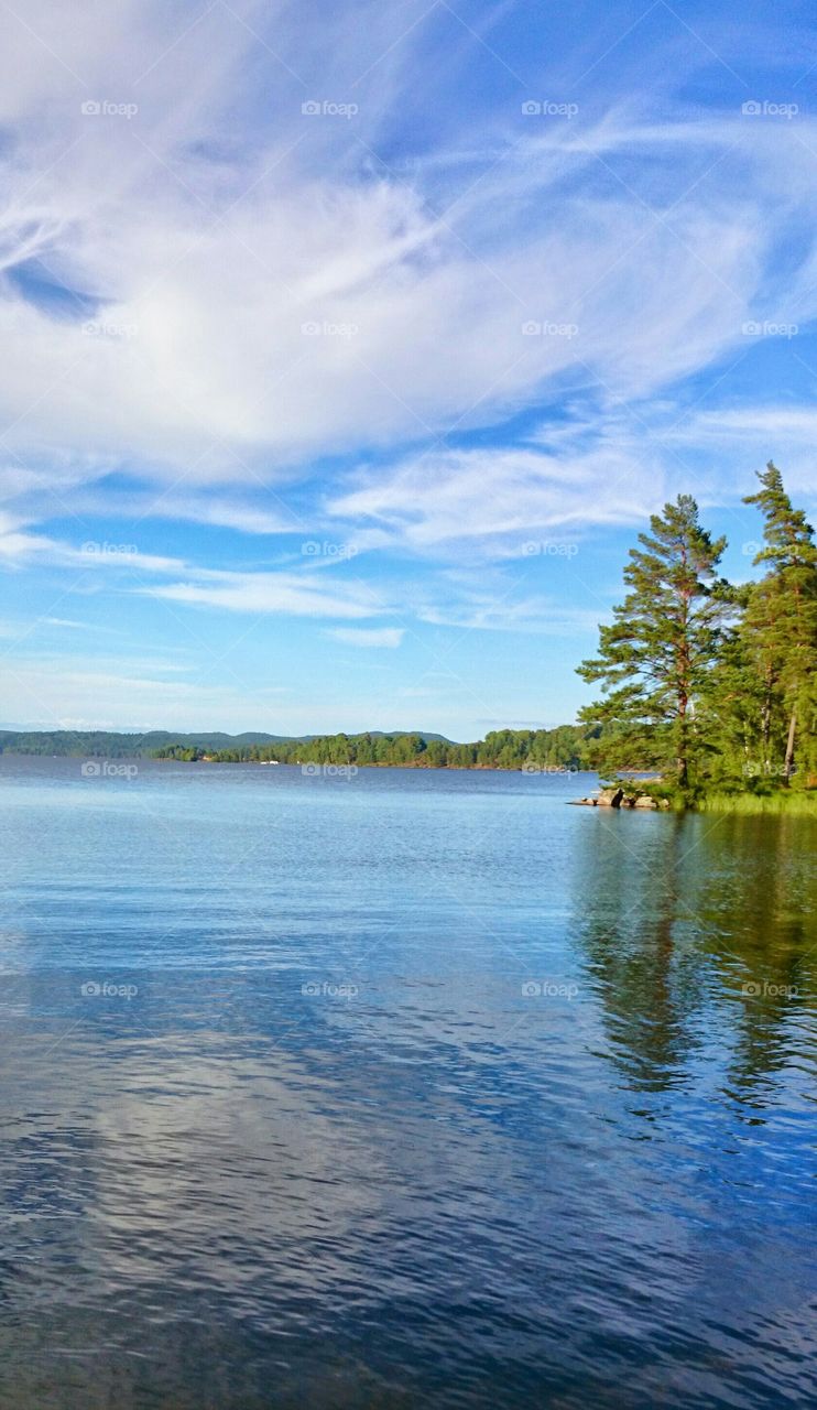 summer lake . lake summertime 