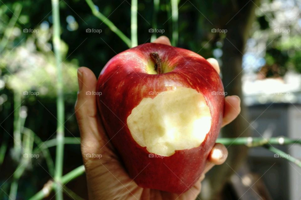 One apple a day, keep your doctor away