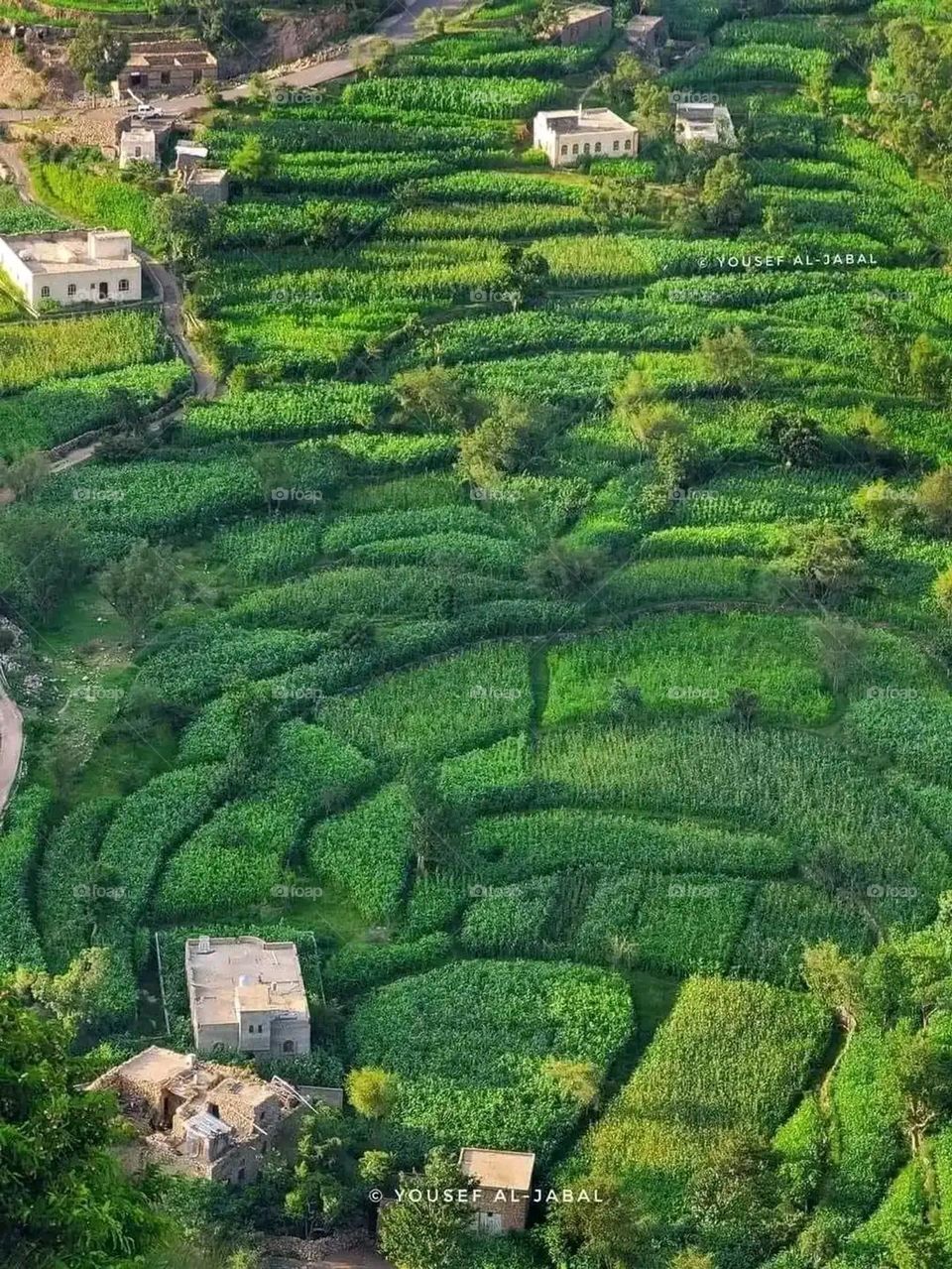 Glory be to God, the magnificent and picturesque view and the natural green trees are a view that is nothing more wonderful than it