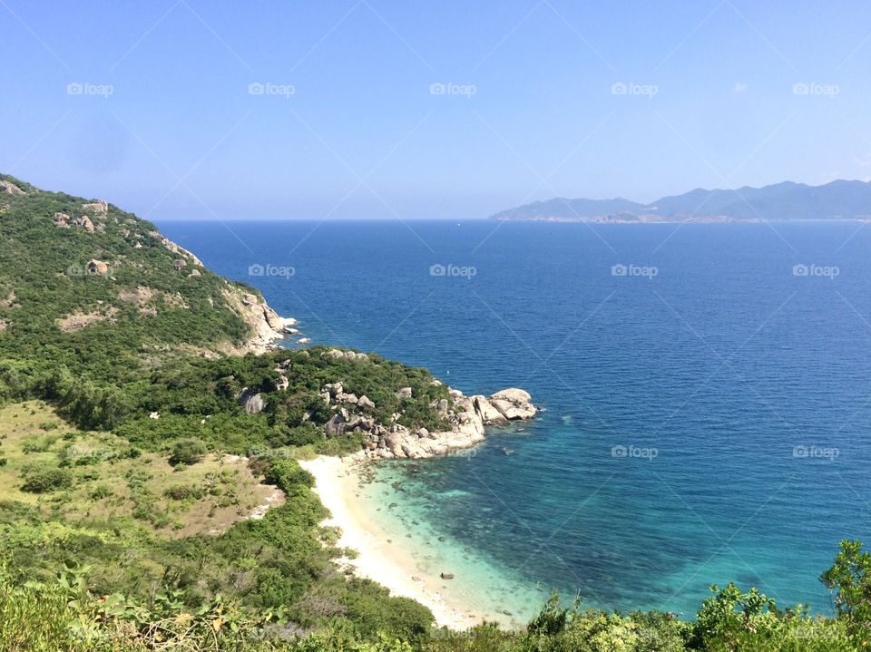 Do you see a turtle?