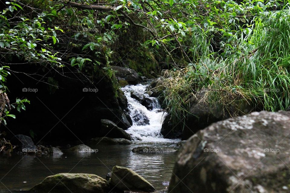 Water, River, Stream, Waterfall, Nature