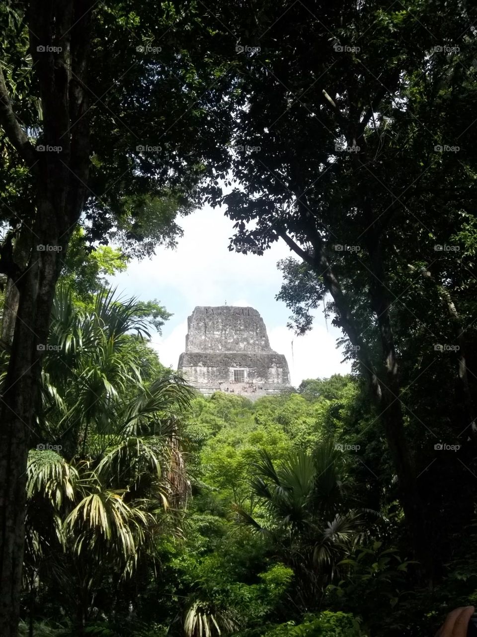 Hidden Temple. Ancient Mayan temple can be seen through the jungle at the ruins of Tikal in Guatemala