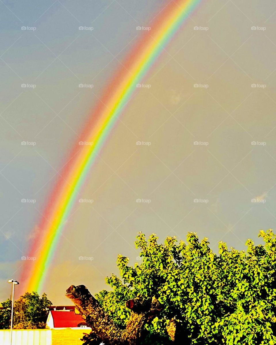 rainbow in sweden live