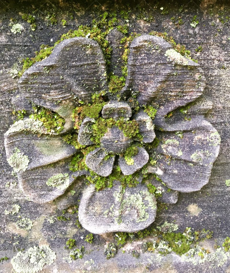 Stone mossy rosette 