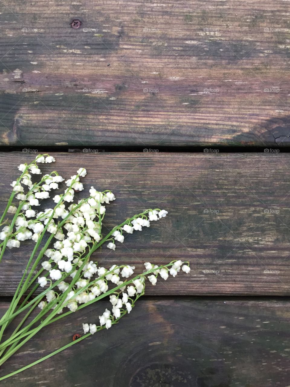 Lily of the valley flat lay on a dark wooden surface (portrait)