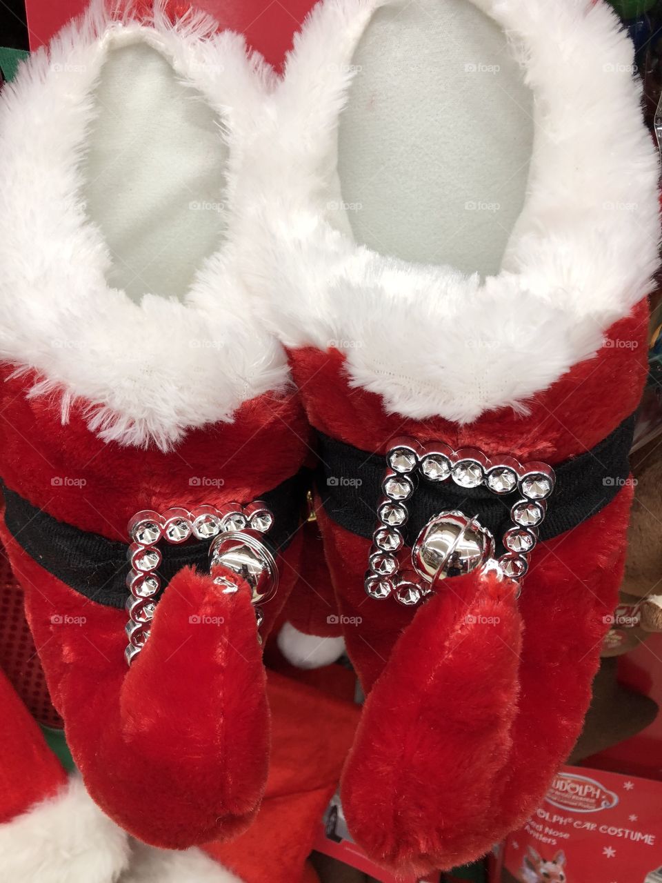 Santa shoes