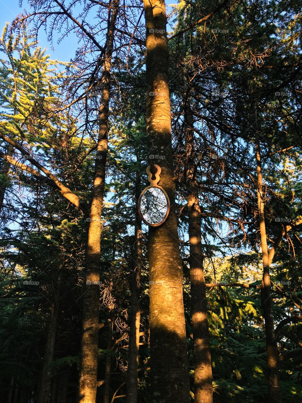 Mysterious mirror hanging on the tree in the deep forest of Crimea.