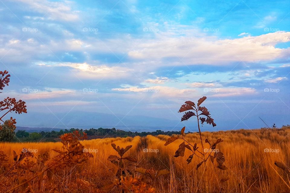 The nature make me happy & free .