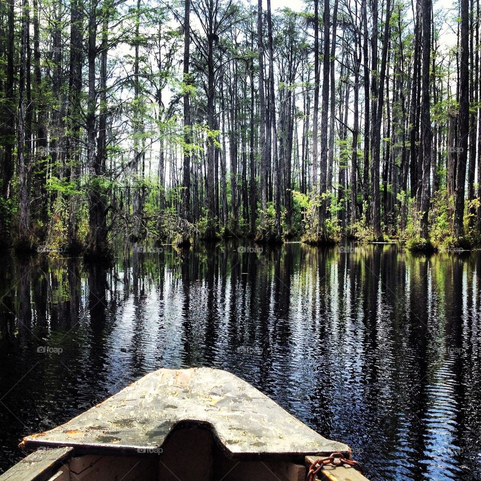 Swamp boating