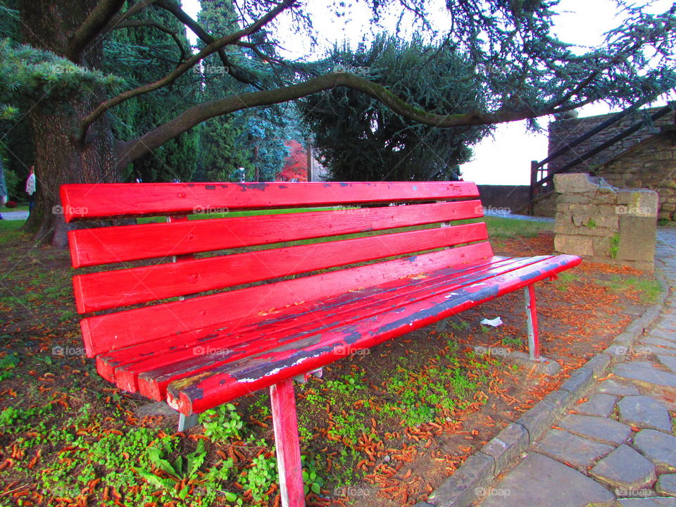 This park is  full of red benches. The colour of the bench is amazing if compared with the green of the park
