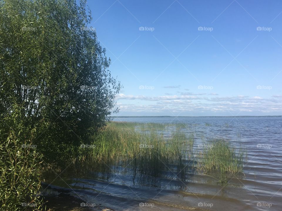 lake. Tver Region, Russia.