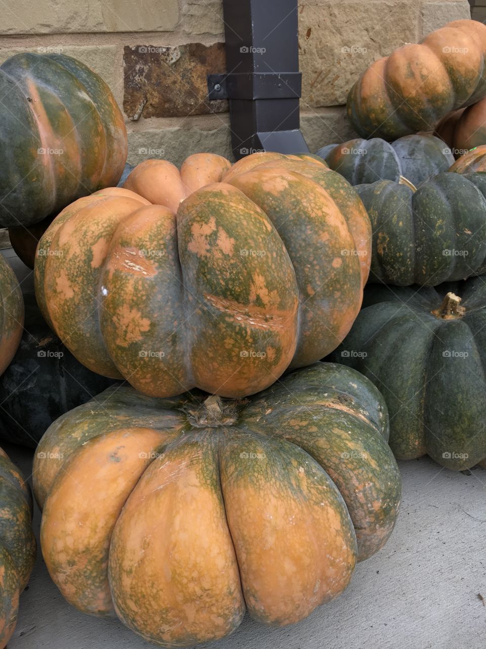 Scary Gourds