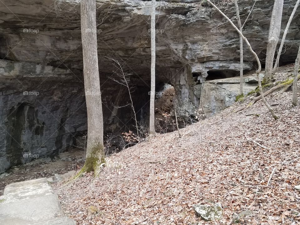 Carter Caves