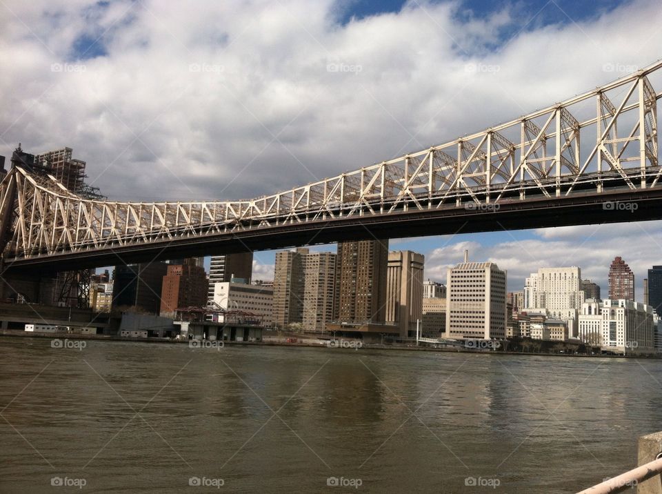 Roosevelt island 