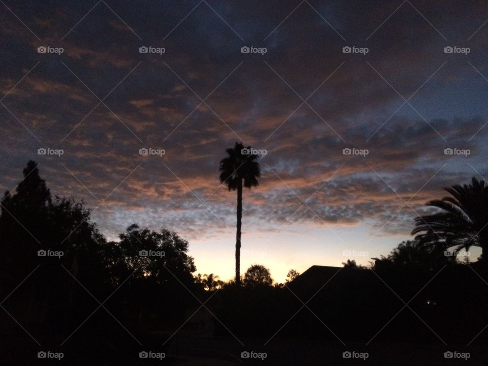 California Sunrise 