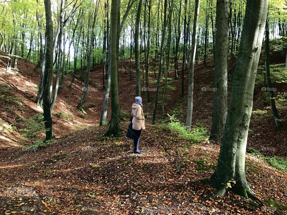 Woman in the forest