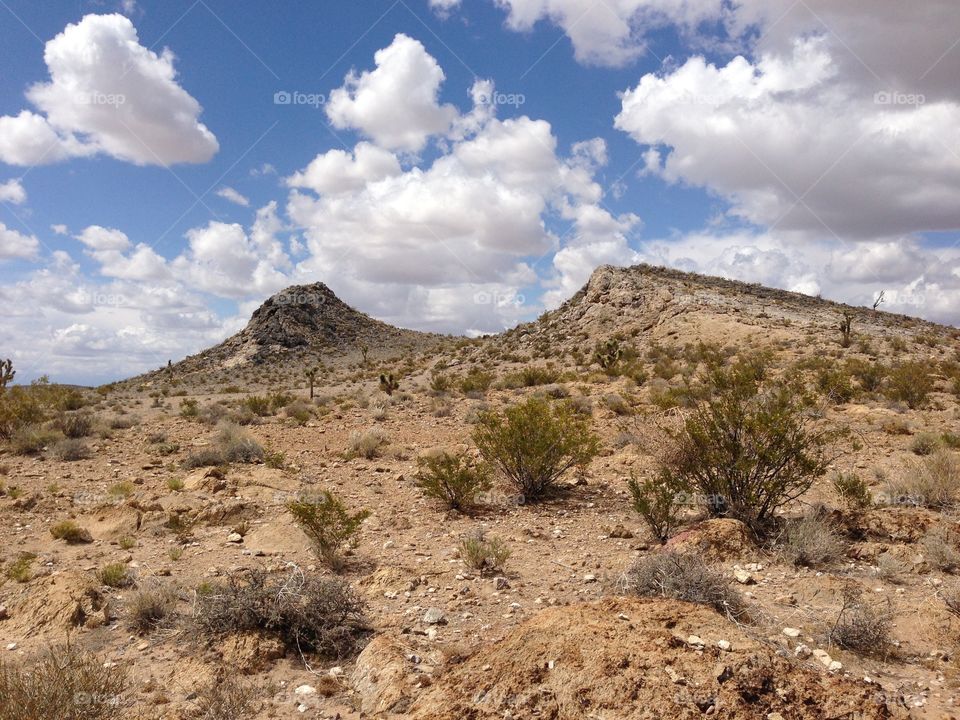 Nevada. Desert in Nevada