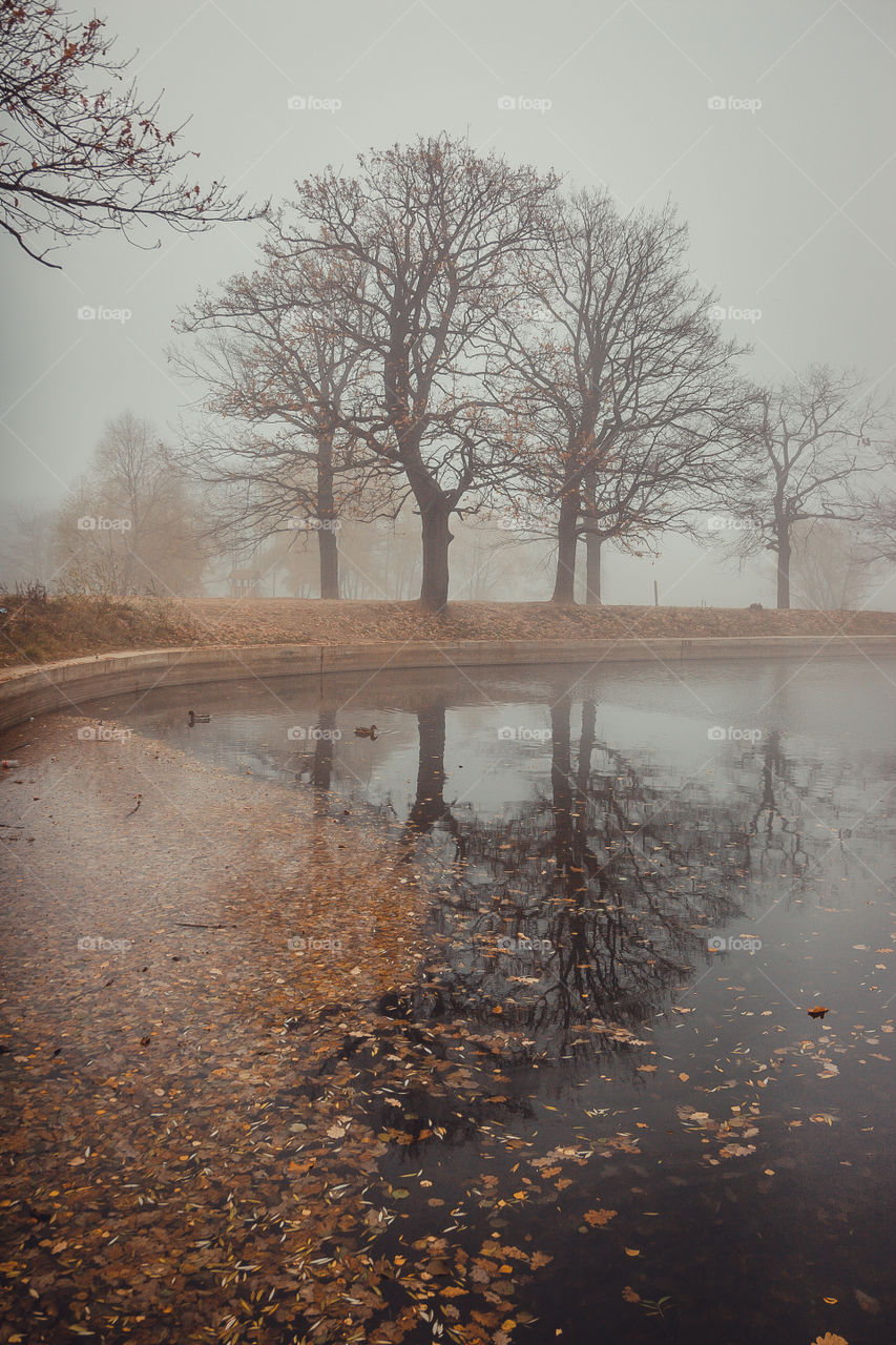 Misty landscape with pond in late autumn 