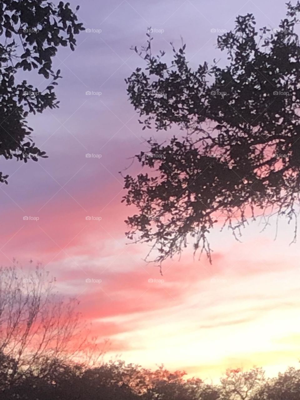 Beautiful sky at sunset at the Texas ranch. The purple color pops for the purple mission. 