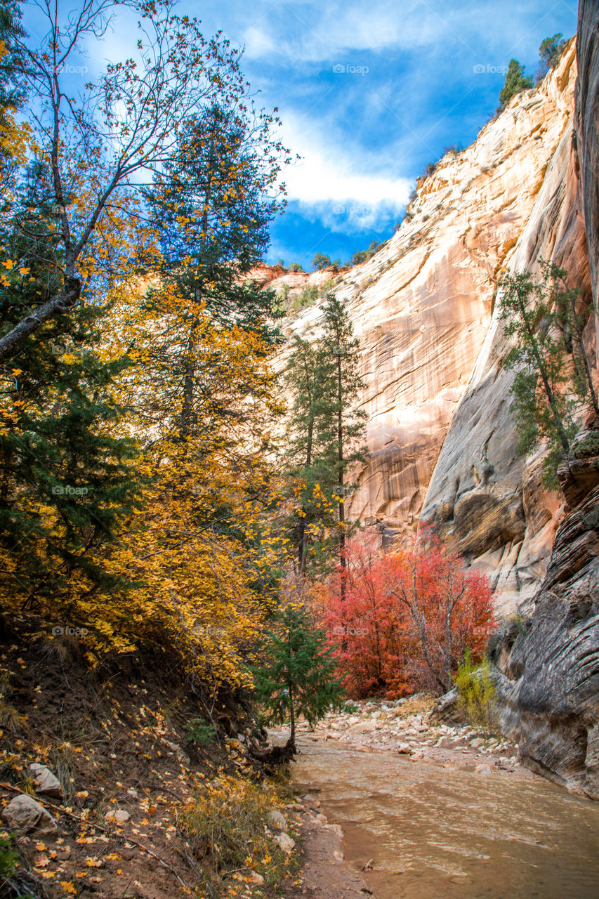 Backpacking the Zion Narrows