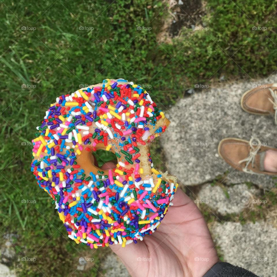 Sprinkled donut 