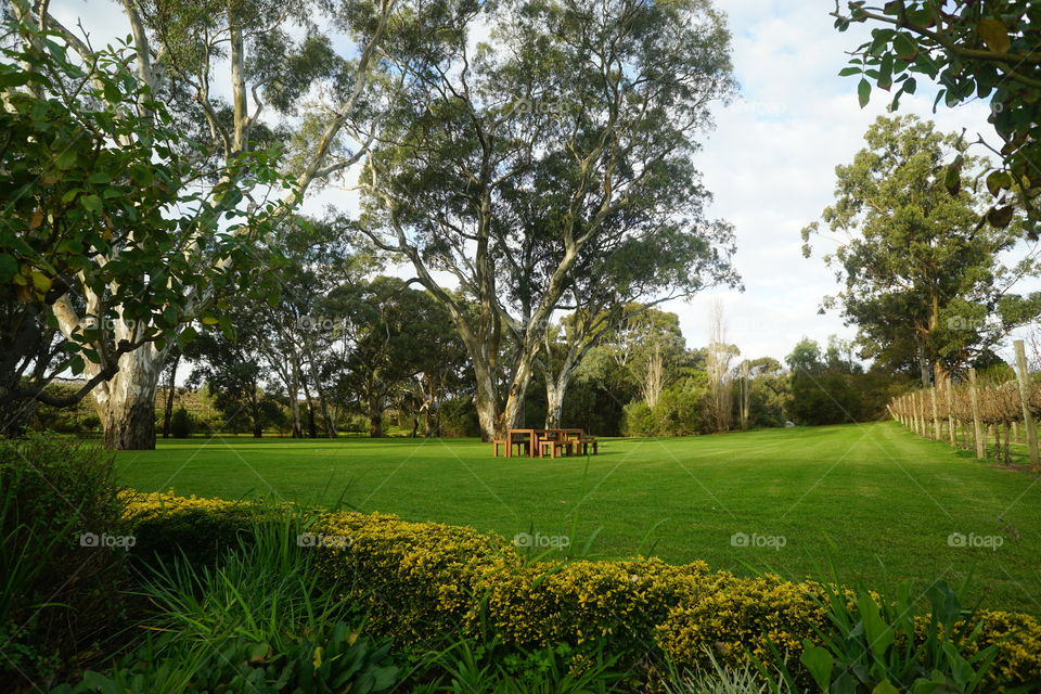 Table and chairs in a park