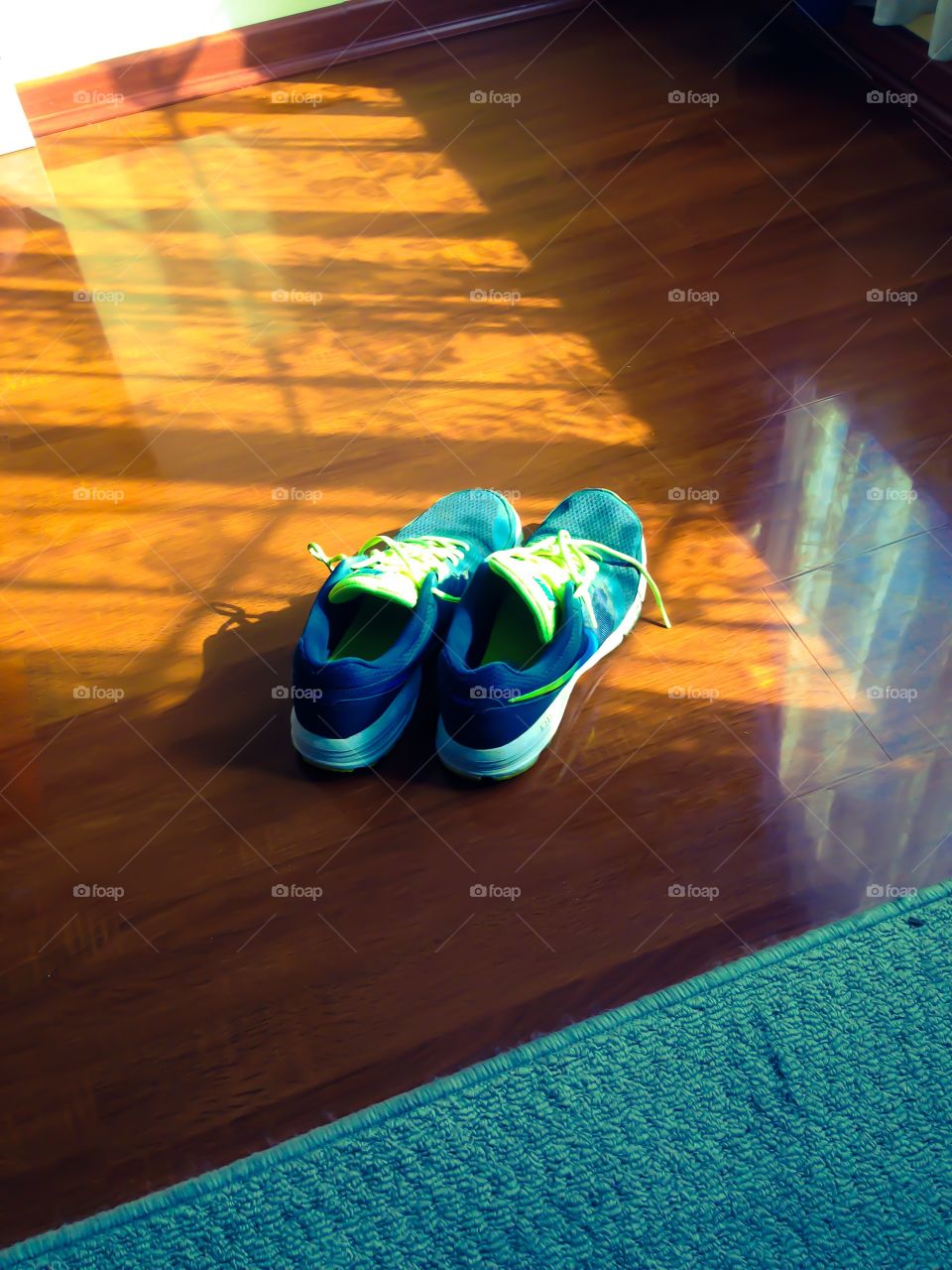 My partners. When you like sports and running then your sport shoes are more than a simple pair of them 