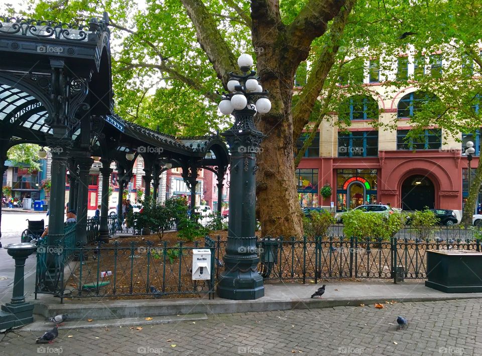 Pioneer Square Pergola, Seattle