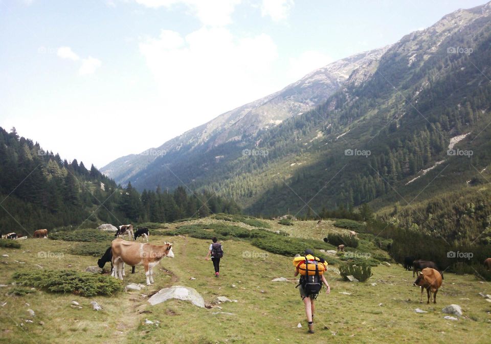 Mountain landscape and hikers in Bulgaria, Pirin mountain