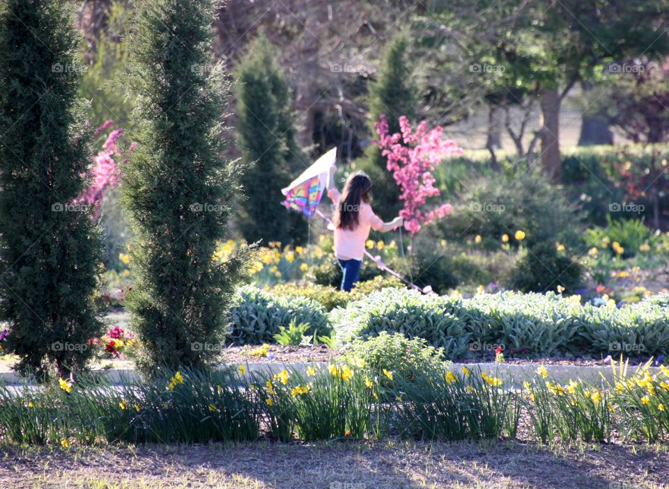 Kite in the Park