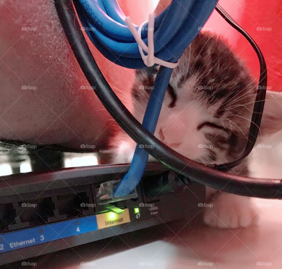 Best connection ever! Nap, internet, pillow = happiness! 