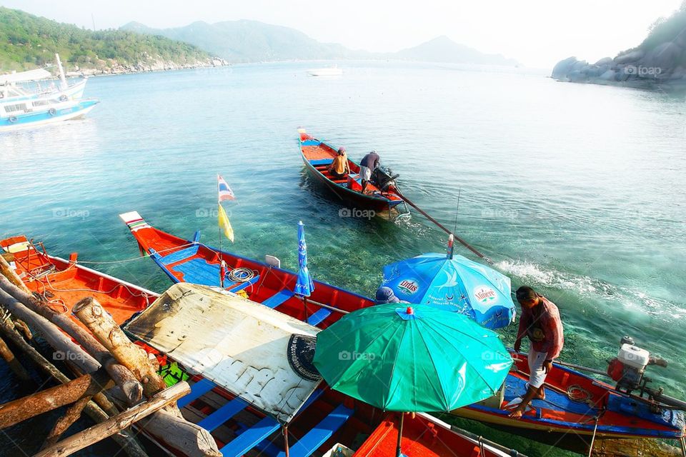 Koh tao