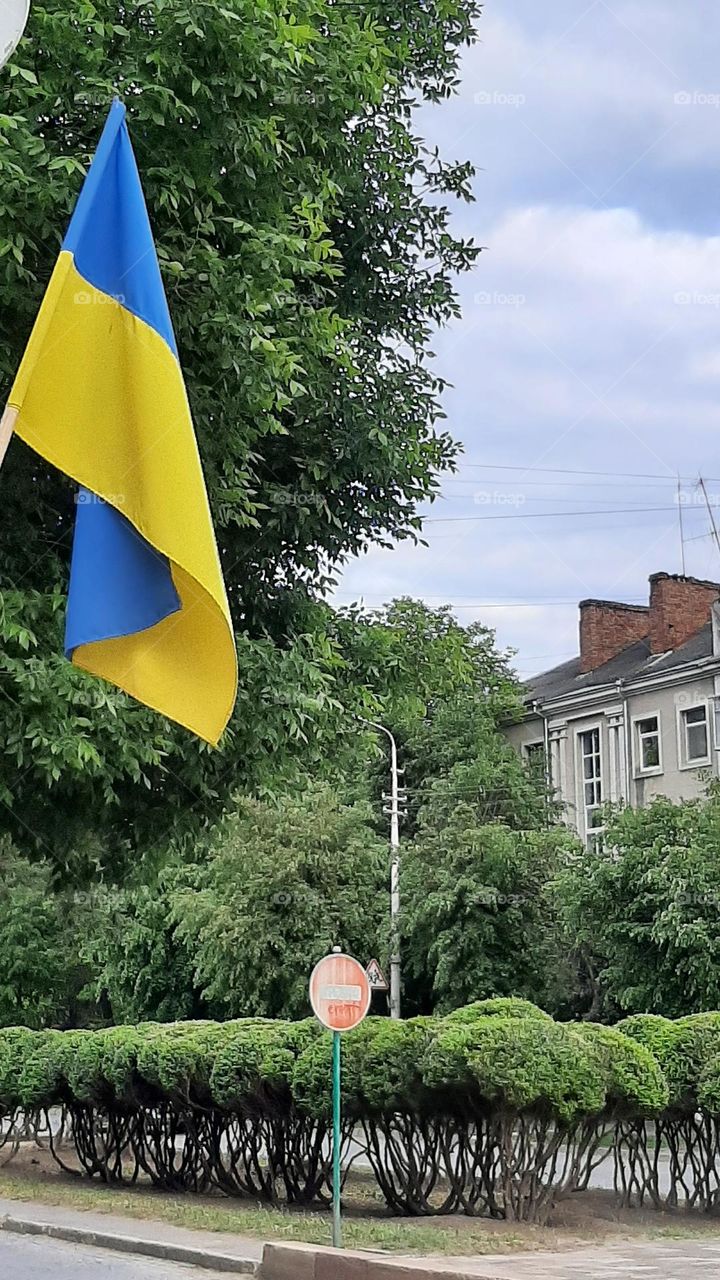 flag Ukraine